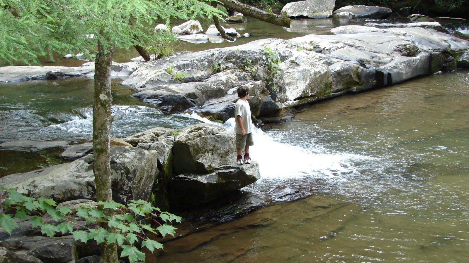 😍 Bless me ultima river symbolism. Bless Me Ultima Characters, Setting